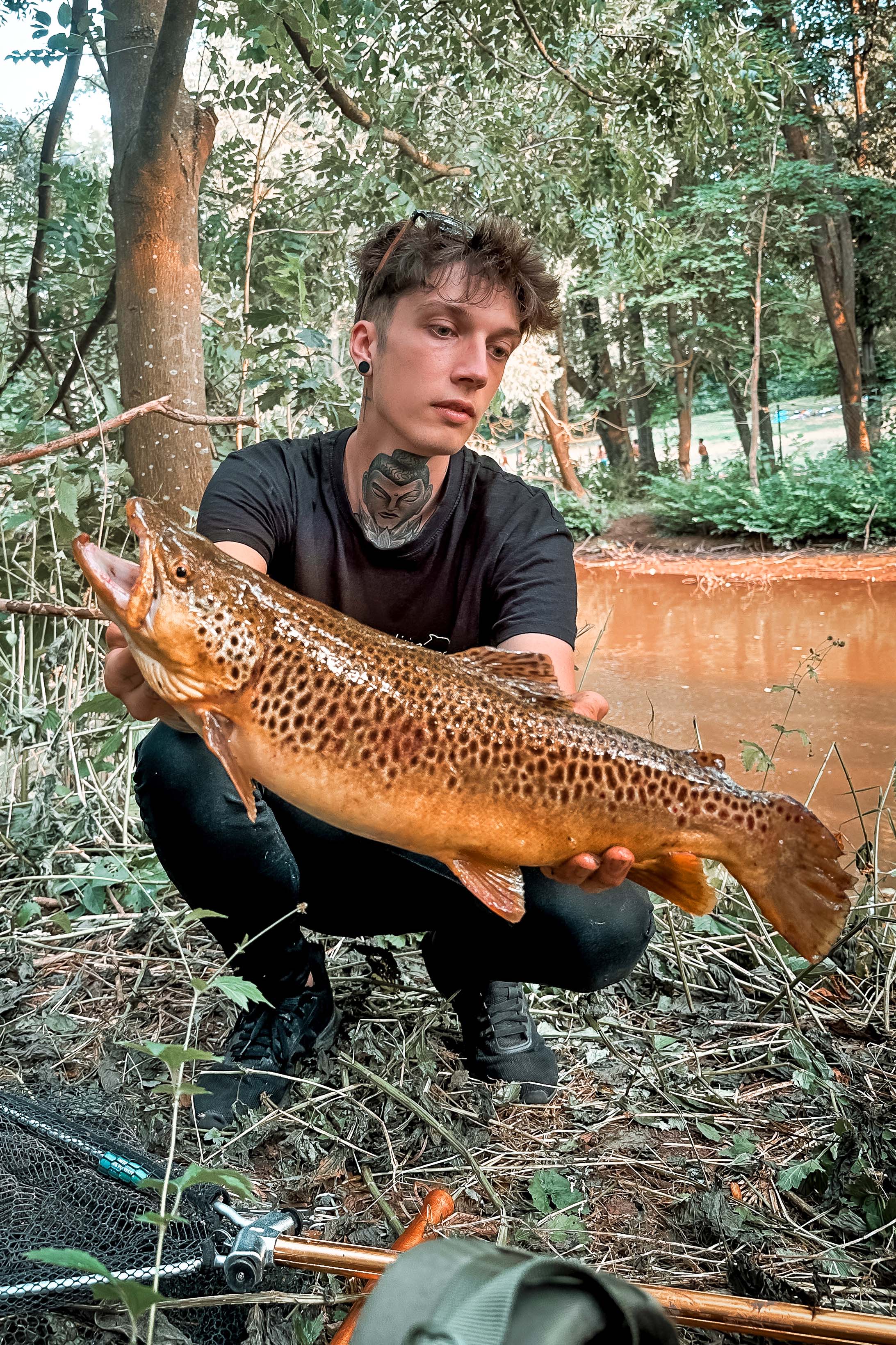 Nico Baumgärtel Bachforelle 50 cm 1,6 kg Bibert