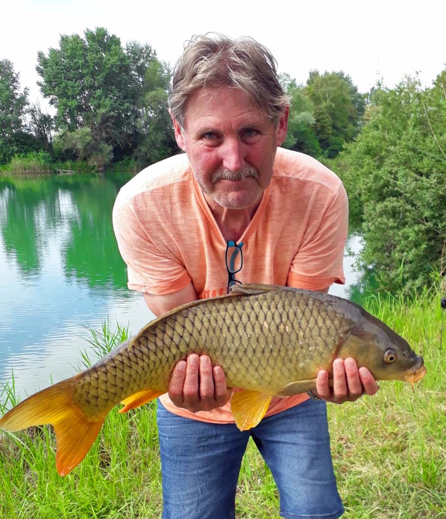 Norbert Himmer Schuppenkarpfen 65 cm Ulrichsee